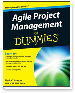 Agile Project Management For Dummies 1st Ed.